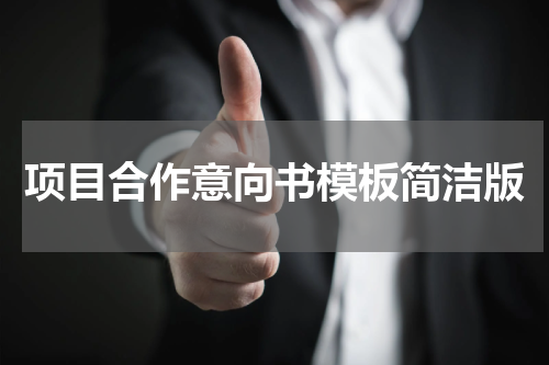 项目合作意向书模板简洁版