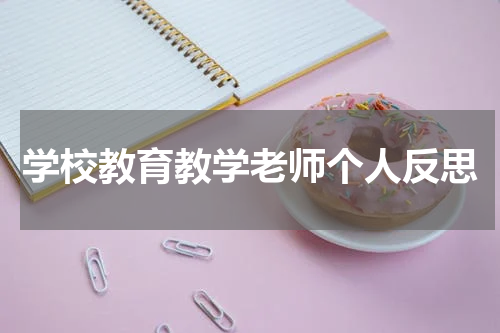 学校教育教学老师个人反思