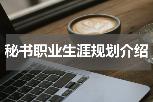 秘书职业生涯规划介绍