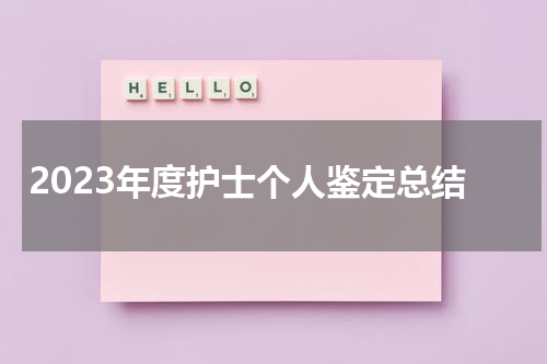 2023年度护士个人鉴定总结