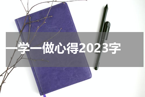 一学一做心得2023字