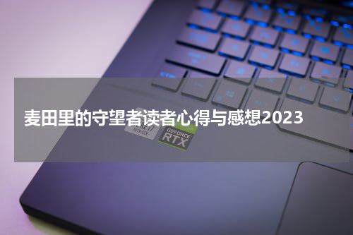 麦田里的守望者读者心得与感想2023