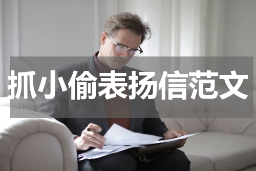 抓小偷表扬信范文