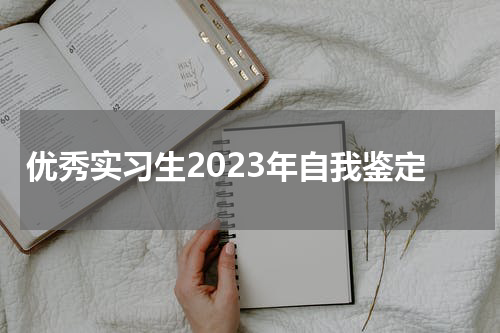 优秀实习生2023年自我鉴定