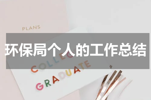 环保局个人的工作总结