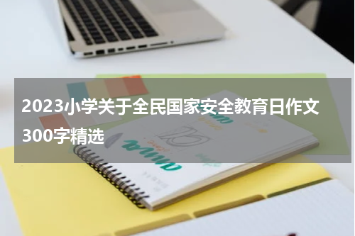 2023小学关于全民国家安全教育日作文300字精选