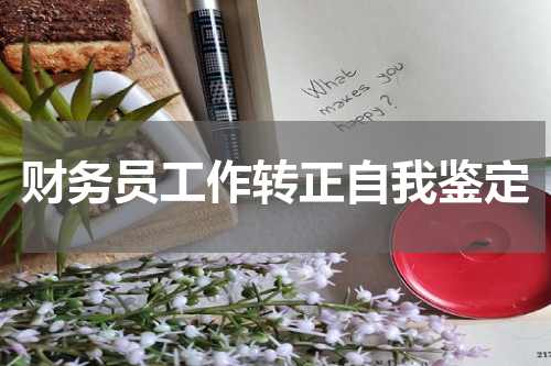 财务员工作转正自我鉴定