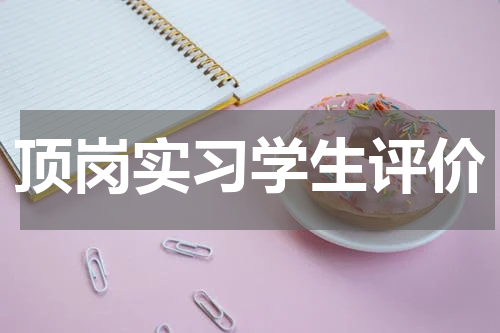 顶岗实习学生评价