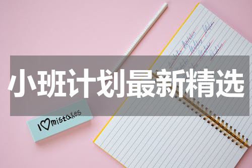 小班计划最新精选
