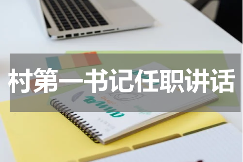 村第一书记任职讲话