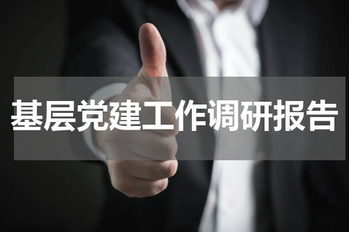 基层党建工作调研报告
