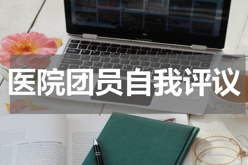医院团员自我评议