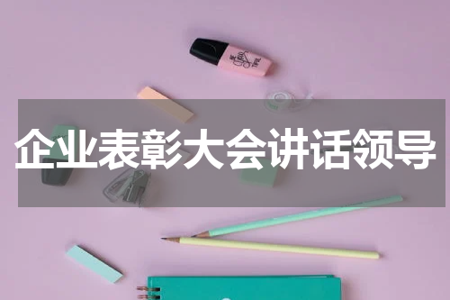 企业表彰大会讲话领导