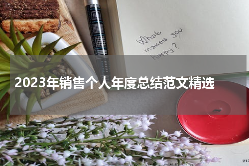 2023年销售个人年度总结范文精选
