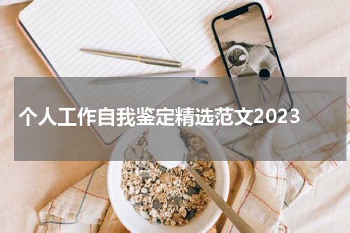 个人工作自我鉴定精选范文2023
