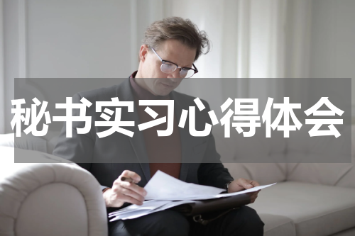 秘书实习心得体会