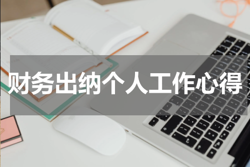 财务出纳个人工作心得