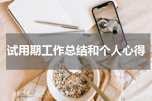 试用期工作总结和个人心得