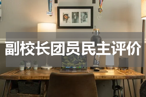 副校长团员民主评价