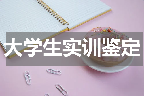 大学生实训鉴定