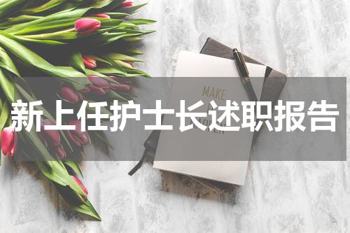新上任护士长述职报告