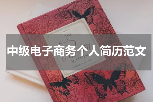中级电子商务个人简历范文