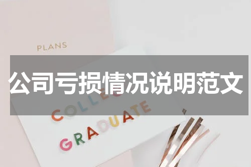 公司亏损情况说明范文