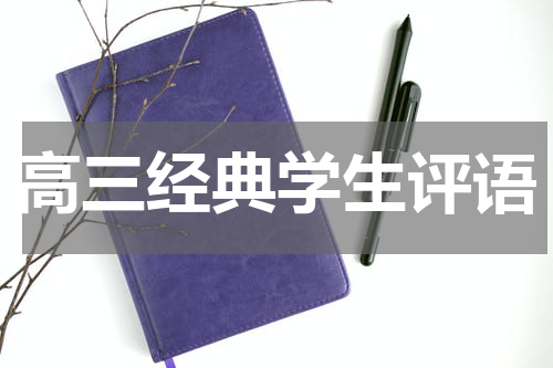 高三经典学生评语