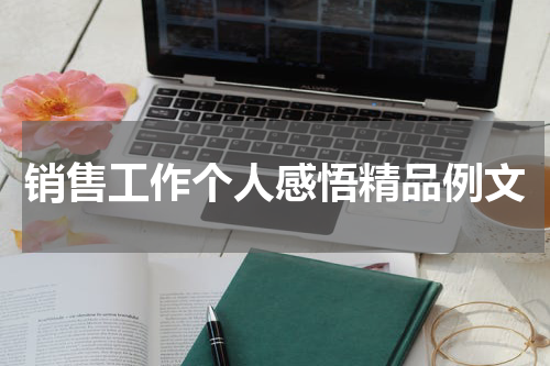 销售工作个人感悟精品例文