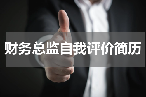 财务总监自我评价简历