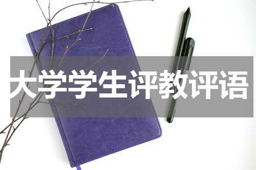 大学学生评教评语