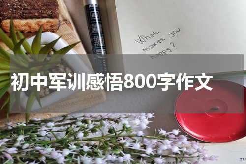 初中军训感悟800字作文