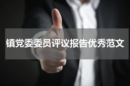 镇党委委员评议报告优秀范文