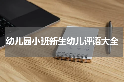 幼儿园小班新生幼儿评语大全
