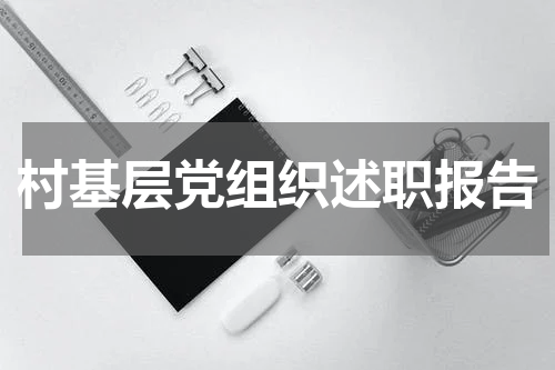 村基层党组织述职报告