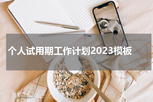 个人试用期工作计划2023模板