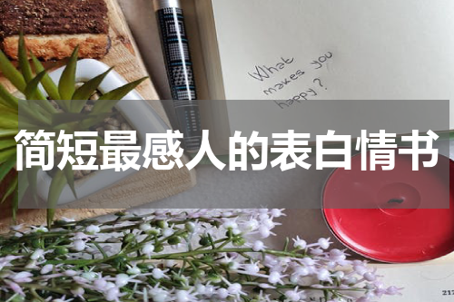 简短最感人的表白情书