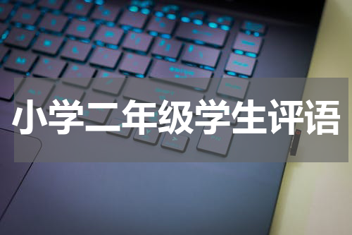 小学二年级学生评语