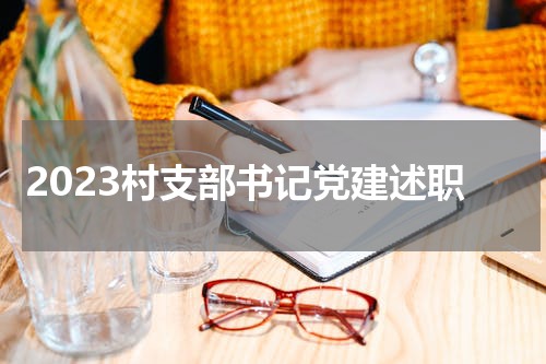 2023村支部书记党建述职