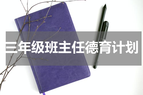 三年级班主任德育计划