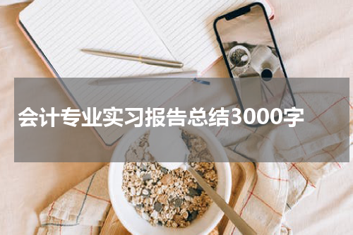 会计专业实习报告总结3000字