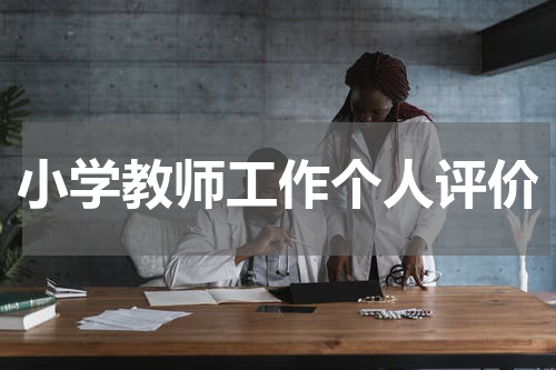 小学教师工作个人评价