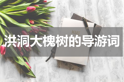 洪洞大槐树的导游词