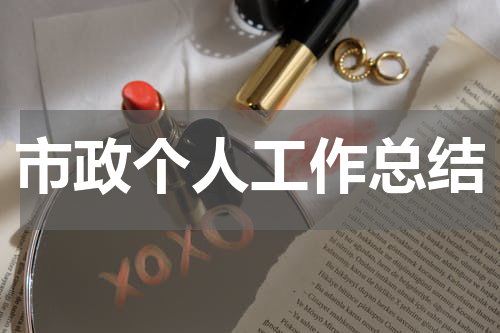市政个人工作总结