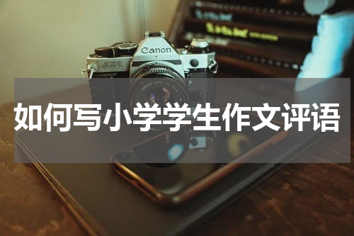 如何写小学学生作文评语