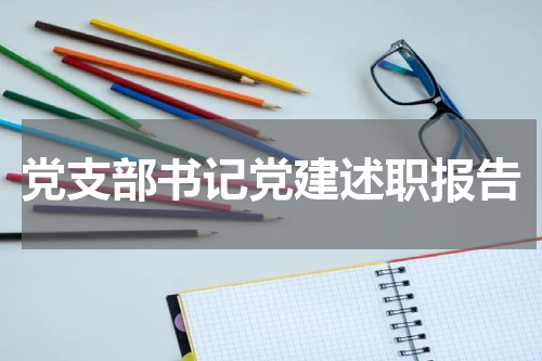 党支部书记党建述职报告