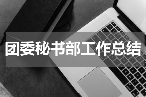 团委秘书部工作总结
