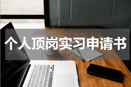 个人顶岗实习申请书