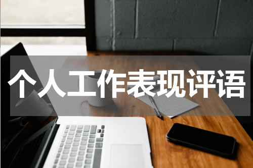 个人工作表现评语