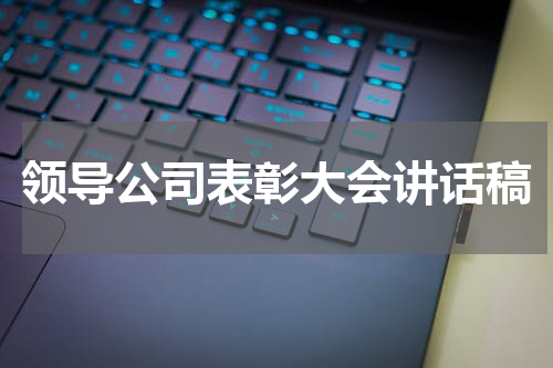 领导公司表彰大会讲话稿